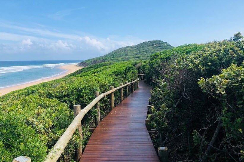 Maputo Special Reserve, Maputo Province, Mozambique